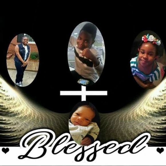 Meet your Posher, Nessa - Picture 1 of 1